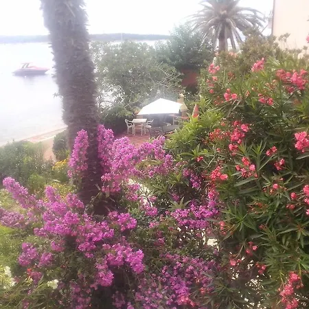 Antica Apartment *